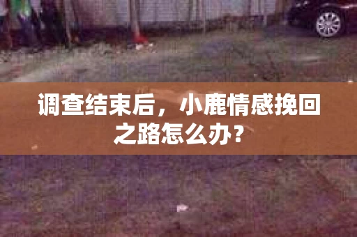 调查结束后，小鹿情感挽回之路怎么办？