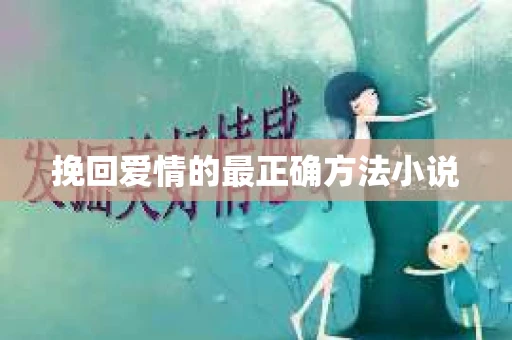 挽回爱情的最正确方法小说
