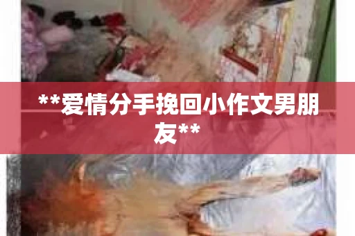 **爱情分手挽回小作文男朋友**