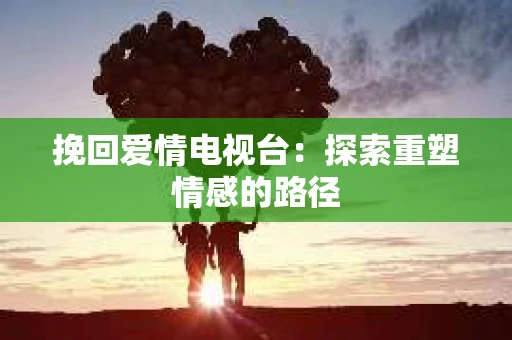 挽回爱情电视台：探索重塑情感的路径