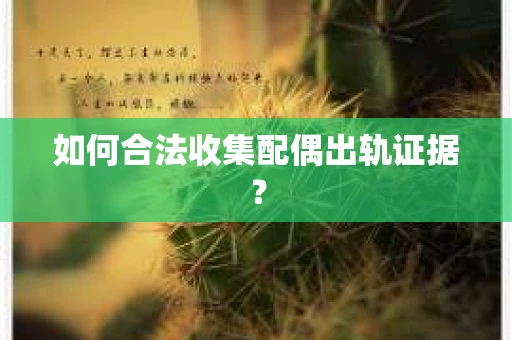 如何合法收集配偶出轨证据？