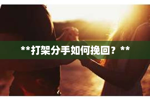 **打架分手如何挽回？**