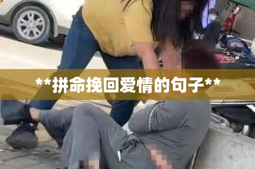 **拼命挽回爱情的句子**