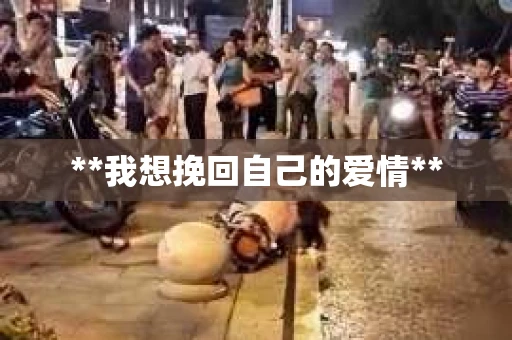 **我想挽回自己的爱情**