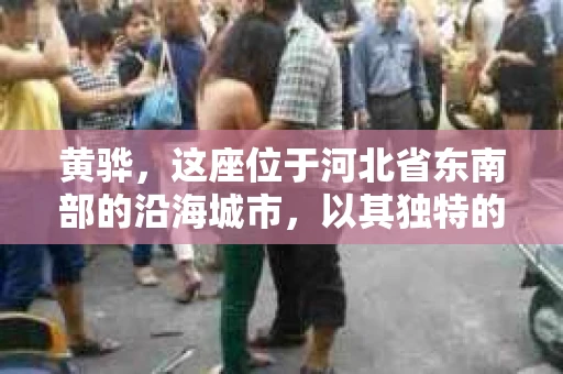 黄骅，这座位于河北省东南部的沿海城市，以其独特的地理位置和丰富的历史文化而闻名。然而，在这座城市中，还有一群人，他们以另一种方式默默守护着社会的公平与正义——私家侦探。今天，我们就来聊聊黄骅的私家侦探，看看他们是如何在这个城市中发挥作用的。