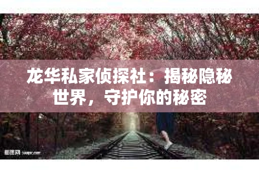 龙华私家侦探社：揭秘隐秘世界，守护你的秘密