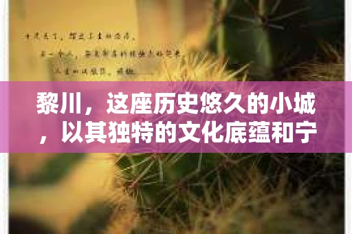 黎川，这座历史悠久的小城，以其独特的文化底蕴和宁静的生活节奏吸引着无数游客。然而，在这样一个看似平静的城市里，你是否会好奇，有没有私家侦探机构的存在呢？今天，就让我带你一探究竟。