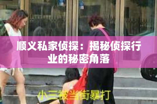 顺义私家侦探：揭秘侦探行业的秘密角落