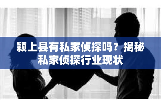 颖上县有私家侦探吗？揭秘私家侦探行业现状
