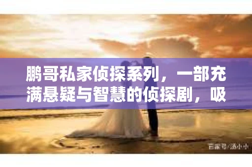 鹏哥私家侦探系列，一部充满悬疑与智慧的侦探剧，吸引了无数观众的眼球。今天，就让我带你走进这个充满神秘色彩的侦探世界，一起在线观看鹏哥私家侦探系列，感受那扣人心弦的故事情节。