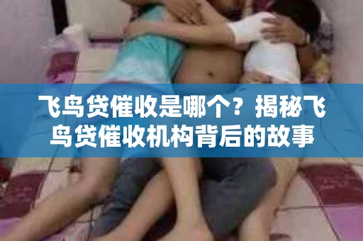 飞鸟贷催收是哪个？揭秘飞鸟贷催收机构背后的故事