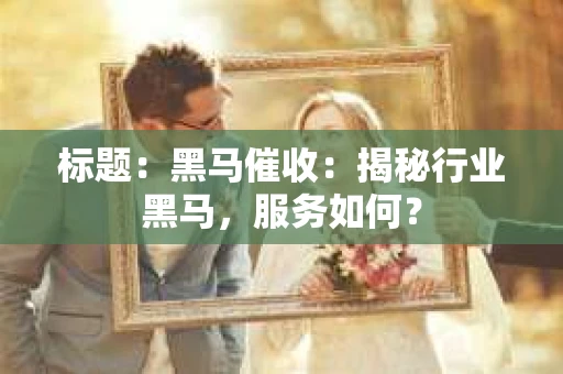 标题：黑马催收：揭秘行业黑马，服务如何？