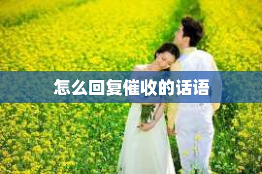 怎么回复催收的话语