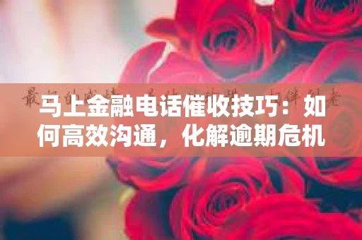 马上金融电话催收技巧：如何高效沟通，化解逾期危机