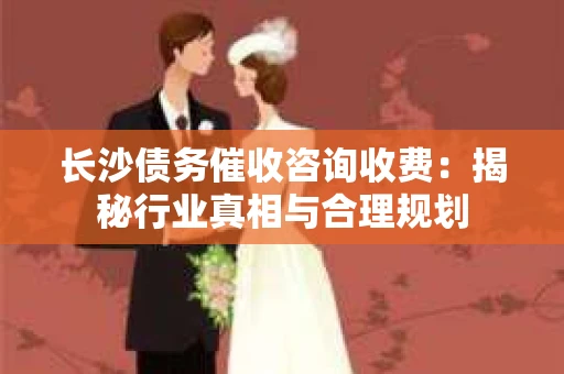 长沙债务催收咨询收费：揭秘行业真相与合理规划