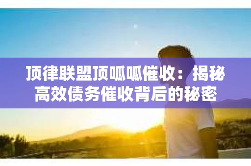 顶律联盟顶呱呱催收：揭秘高效债务催收背后的秘密