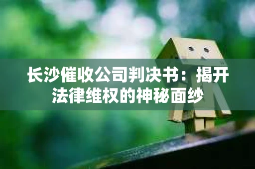 长沙催收公司判决书：揭开法律维权的神秘面纱