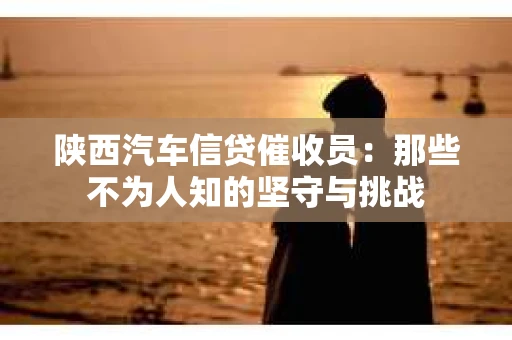 陕西汽车信贷催收员：那些不为人知的坚守与挑战