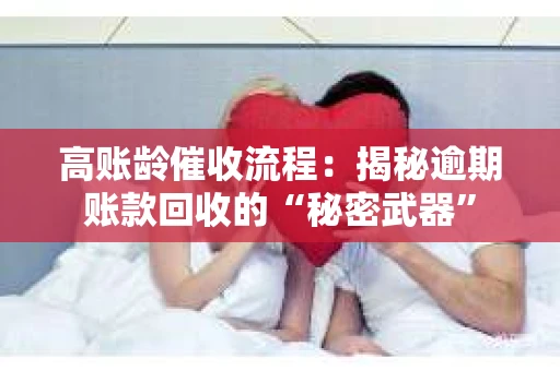 高账龄催收流程：揭秘逾期账款回收的“秘密武器”