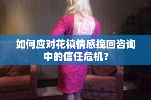 如何应对花镇情感挽回咨询中的信任危机？