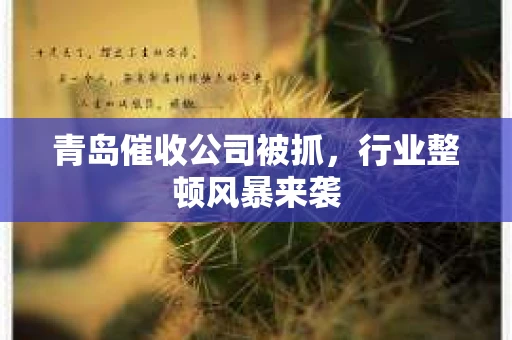 青岛催收公司被抓，行业整顿风暴来袭