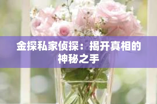 金探私家侦探：揭开真相的神秘之手