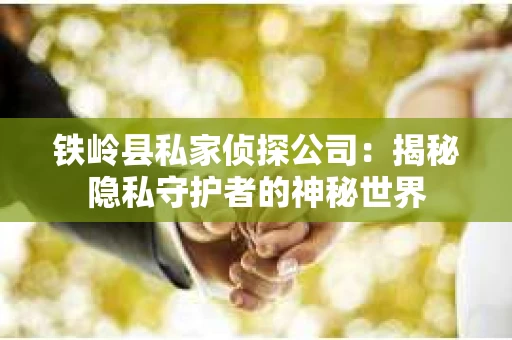 铁岭县私家侦探公司：揭秘隐私守护者的神秘世界
