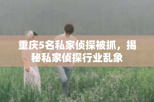 重庆5名私家侦探被抓，揭秘私家侦探行业乱象
