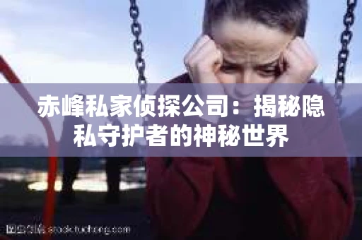 赤峰私家侦探公司：揭秘隐私守护者的神秘世界