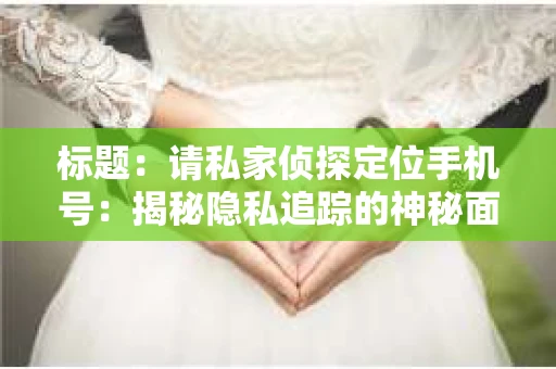 标题：请私家侦探定位手机号：揭秘隐私追踪的神秘面纱