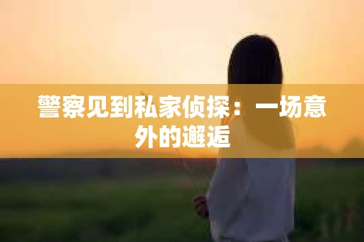 警察见到私家侦探：一场意外的邂逅