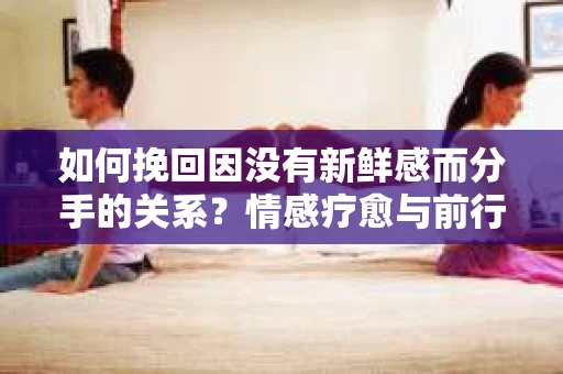 如何挽回因没有新鲜感而分手的关系?情感疗愈与前行计划 如何挽回因没有新鲜感而分手的关系?情感疗愈与前行计划