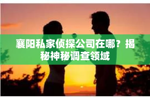 襄阳私家侦探公司在哪？揭秘神秘调查领域