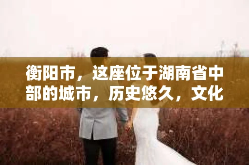 衡阳市，这座位于湖南省中部的城市，历史悠久，文化底蕴深厚。随着社会的发展，人们对于个人隐私的保护意识逐渐增强，私家侦探机构也应运而生。那么，衡阳市是否有私家侦探机构呢？今天，我们就来聊聊这个话题。