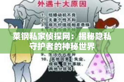 莱钢私家侦探网：揭秘隐私守护者的神秘世界