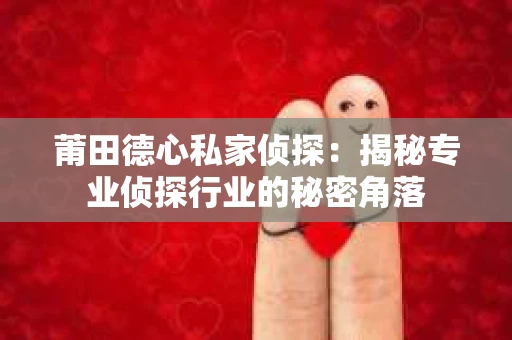 莆田德心私家侦探：揭秘专业侦探行业的秘密角落