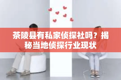 茶陵县有私家侦探社吗？揭秘当地侦探行业现状