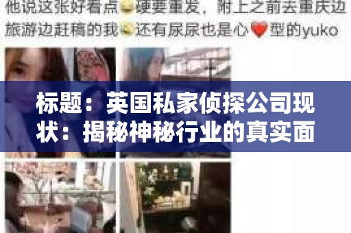 标题：英国私家侦探公司现状：揭秘神秘行业的真实面貌