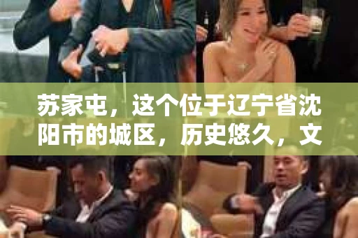 苏家屯，这个位于辽宁省沈阳市的城区，历史悠久，文化底蕴深厚。近年来，随着社会的发展，人们对于私家侦探的需求也逐渐增加。那么，苏家屯有私家侦探吗？今天，我们就来聊聊这个话题。