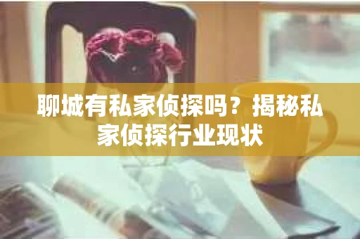 聊城有私家侦探吗？揭秘私家侦探行业现状