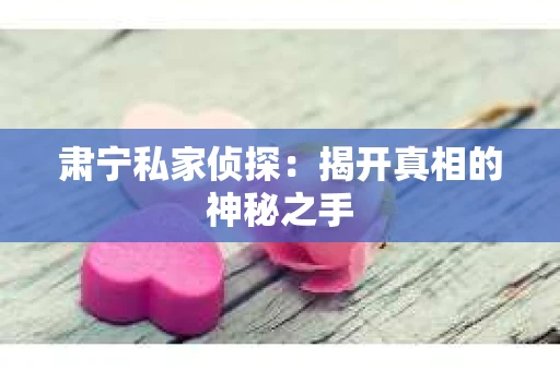 肃宁私家侦探：揭开真相的神秘之手