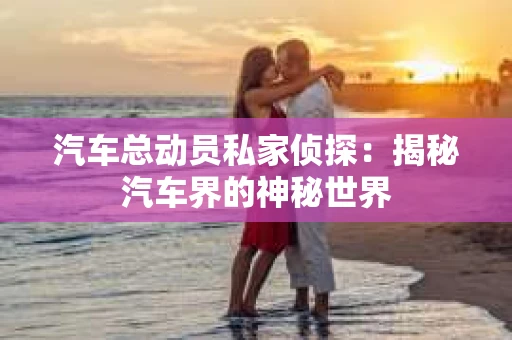 汽车总动员私家侦探：揭秘汽车界的神秘世界