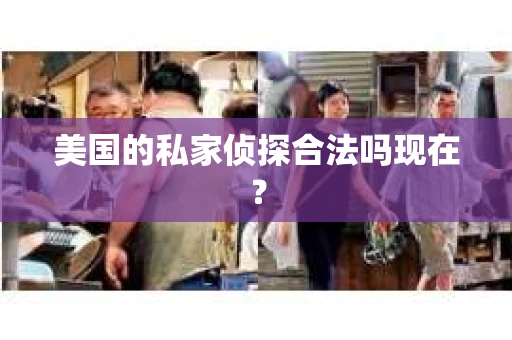 美国的私家侦探合法吗现在？