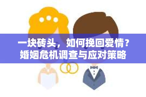一块砖头，如何挽回爱情？婚姻危机调查与应对策略