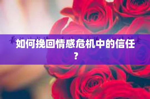 如何挽回情感危机中的信任？