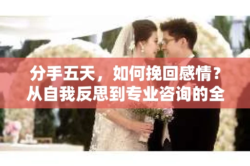 分手五天，如何挽回感情？从自我反思到专业咨询的全面解决方案