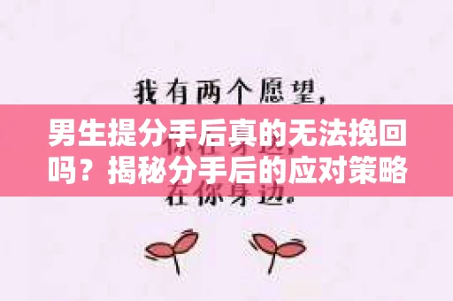 男生提分手后真的无法挽回吗?揭秘分手后的应对策略 男生提分手后真的无法挽回吗?揭秘分手后的应对策略