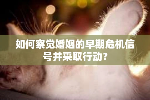 如何察觉婚姻的早期危机信号并采取行动？