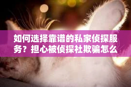 如何选择靠谱的私家侦探服务？担心被侦探社欺骗怎么办？